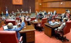 Senado aprueba en segunda lectura proyecto de Ley sobre Arte Público