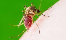 Declaran una epidemia de dengue en Puerto Rico