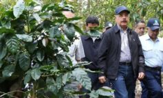 Tras finalizar con éxito Cumbre SICA, Danilo Medina supervisa proyectos forestales