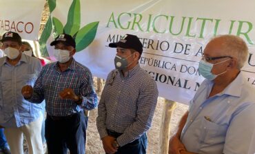 Sector agropecuario anuncia impulso sin precedentes a industria dominicana del tabaco.
