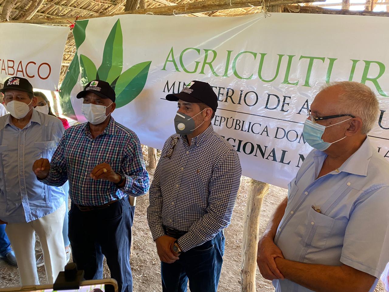 Sector agropecuario anuncia impulso sin precedentes a industria dominicana del tabaco.