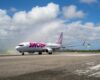 Aeropuerto Internacional de Punta Cana incorpora 79 vuelos mensuales con nuevas rutas y líneas aéreas en los meses agosto 2021 - enero 2022