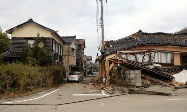 Un perro salva a una anciana en Japón 72 horas después del terremoto