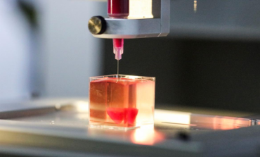 Bioimpresión 3D: Transformando imágenes médicas en tejido humano